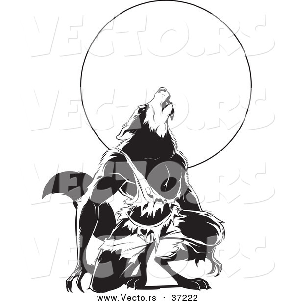 Vector of a Werewolf Howling over Full Moon - Black and White Art