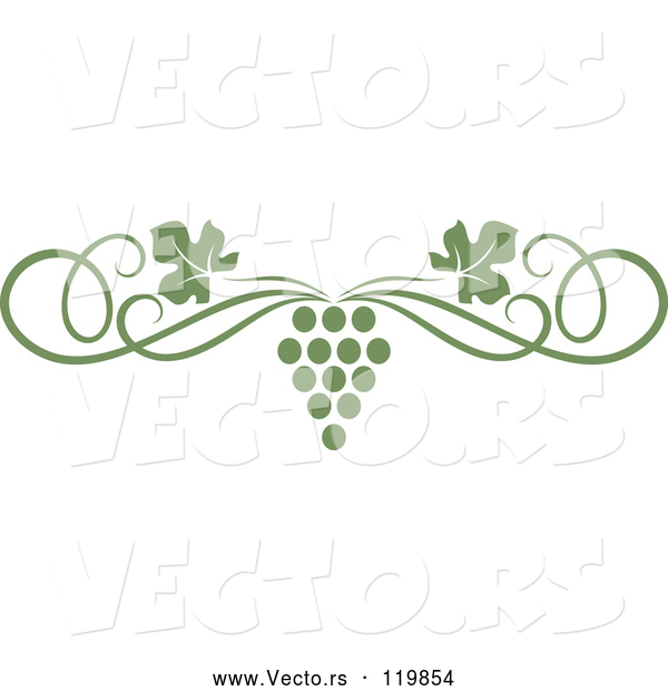 Vector of an Olive Green Grape Vine and Swirl Page Border
