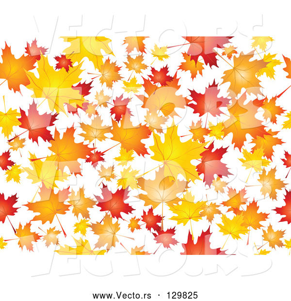 Vector of Background of Orange, Red and Yellow Maple Leaves Falling over White