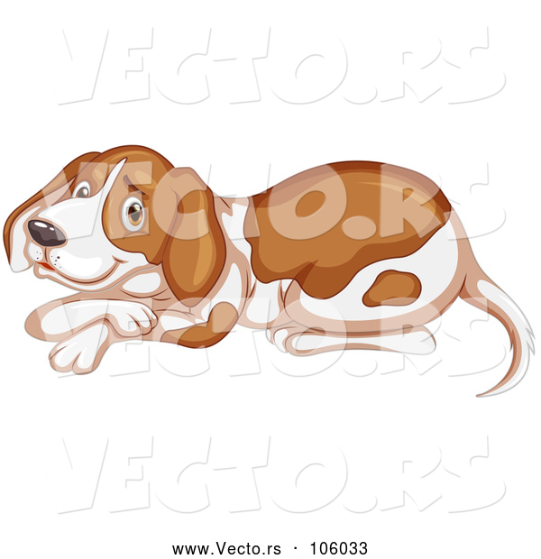 Vector of Beagle or Hound Dog Resting