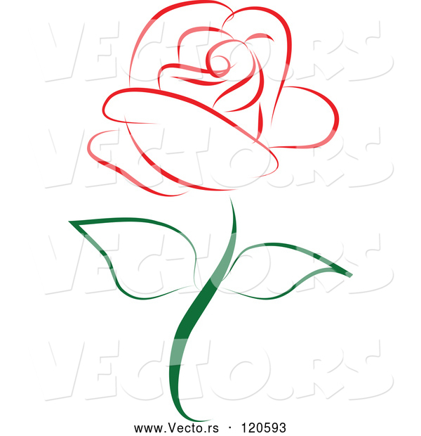 Vector of Beautiful Single Red Rose 1