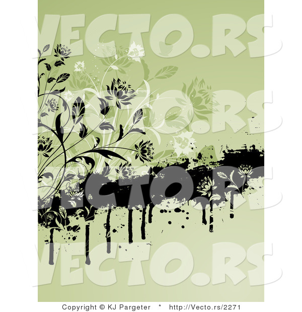 Vector of Black and Green Floral Vines with Grunge - Digital Background