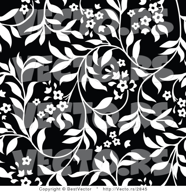 Vector of Black and White Floral Vines Background Pattern Version 8