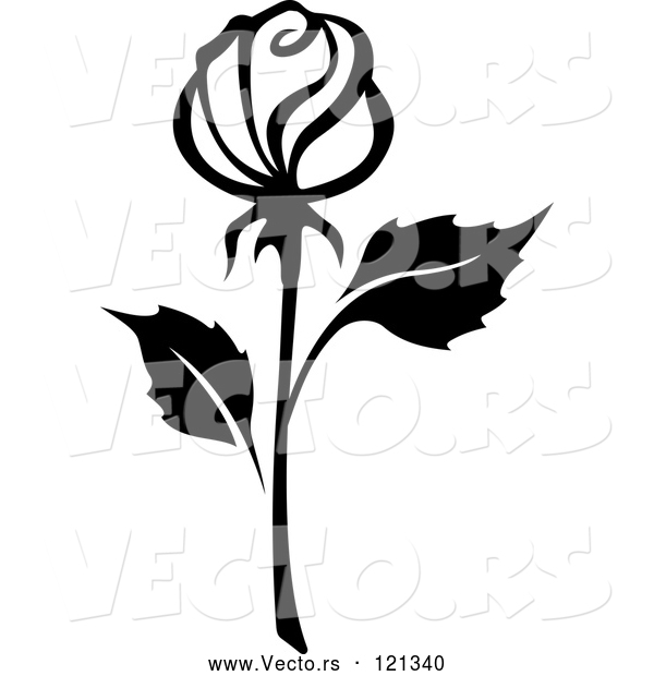 Vector of Black and White Rose Flower 15