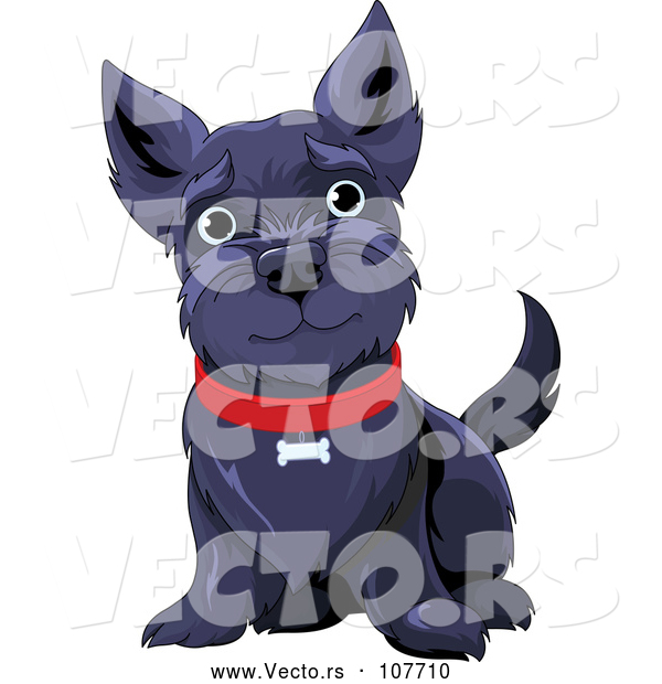 Vector of Black Happy Scottish Terrier Dog Sitting and Wearing a Red Collar