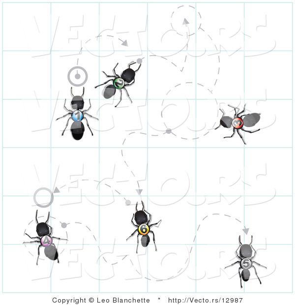 Vector of Black Numbers Ants on Graph Paper Following Dotted Lines