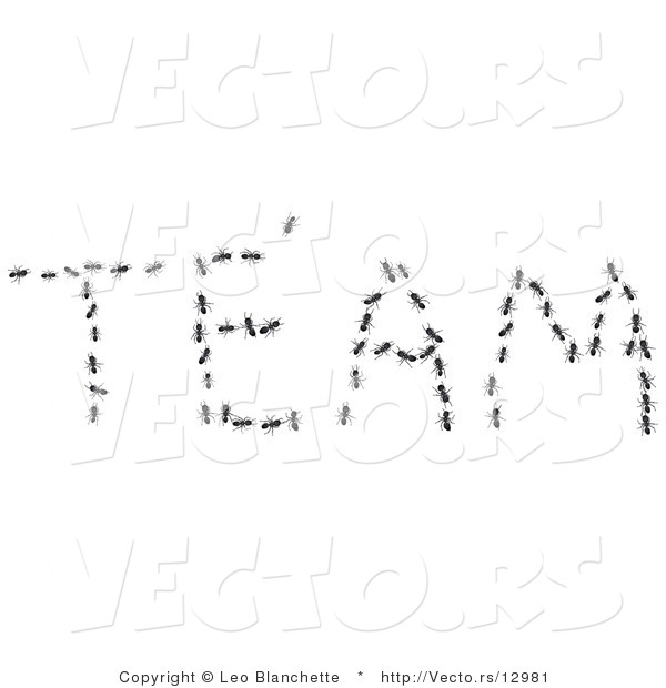 Vector of Black Worker Ants Working Together to Outline the Word TEAM