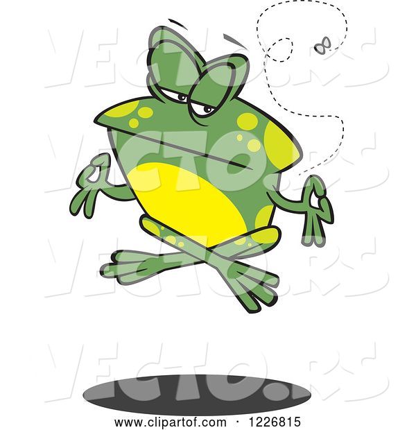 Vector of Cartoon Floating Meditating Frog and Fly
