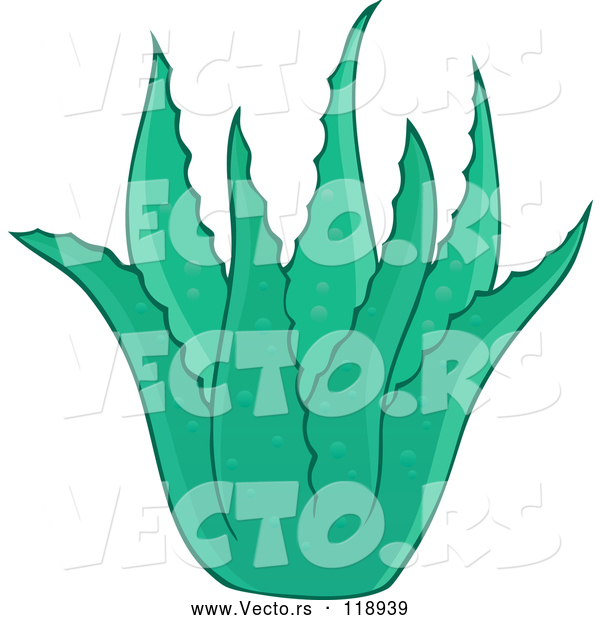 Vector of Cartoon Green Aloe Plant