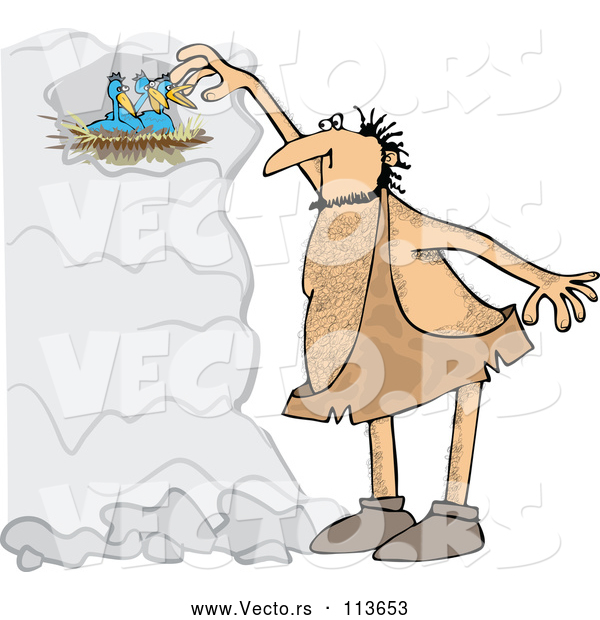 Vector of Cartoon Hairy Caveman Reaching for Birds in a Nest