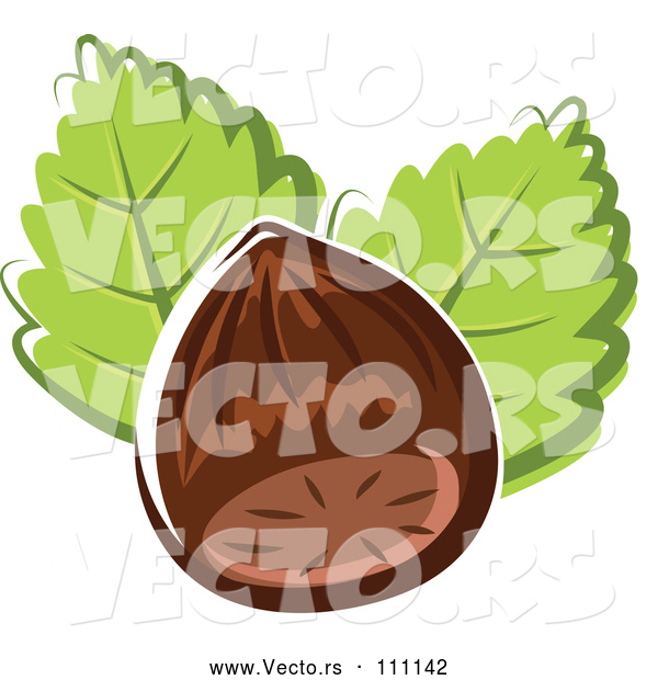 Vector of Cartoon Hazelnut and Leaves