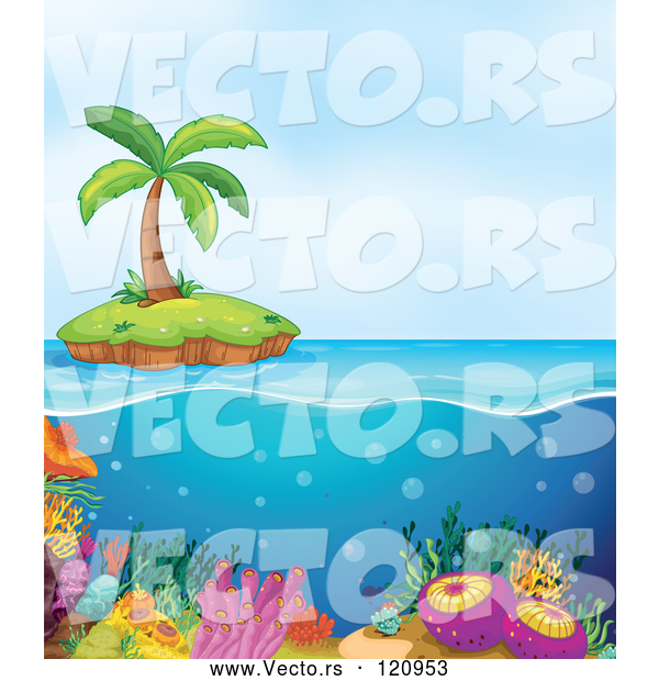 Vector of Cartoon Island and Coral Reef