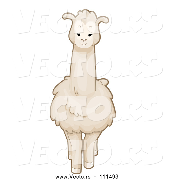 Vector of Cartoon White Llama