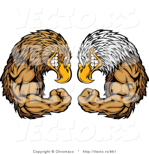 Vector of Competitive Bald Eagle Versus Golden Eagle