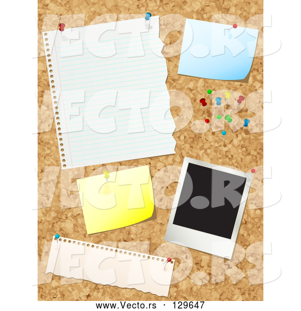 Vector of Cork Board with Push Pins, Blank Messages and a Polaroid Picture