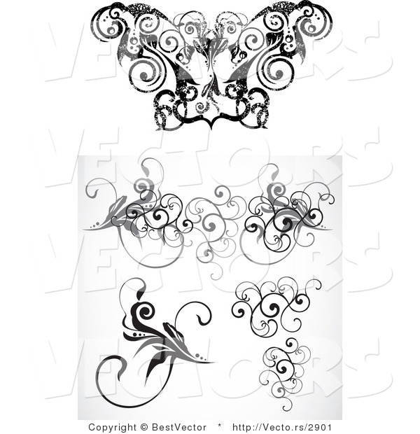 Vector of Curly Vine Floral Borders - Digital Black and White Border Design Elements Collage
