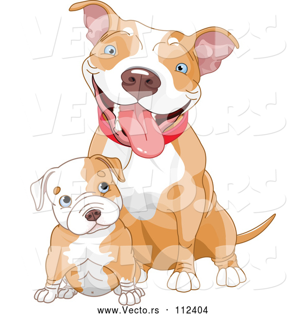 Vector of Cute Blue Eyed White Ad Tan Pitbull Puppy Dog Sitting in Front of Its Mom