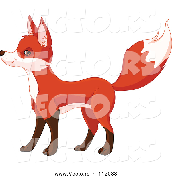 Vector of Cute Fox Standing and Facing Left