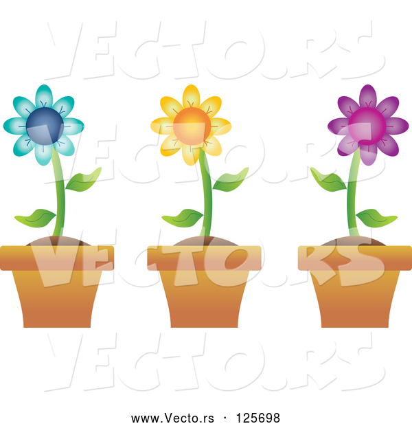 Vector of Digital Collage of Three Colorful Daisies in Terra Cotta Pots