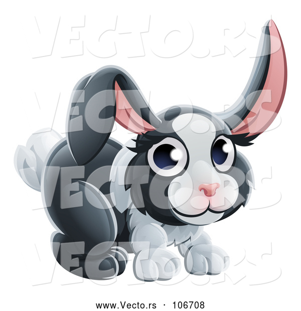 Vector of Dutch Bunny Rabbit