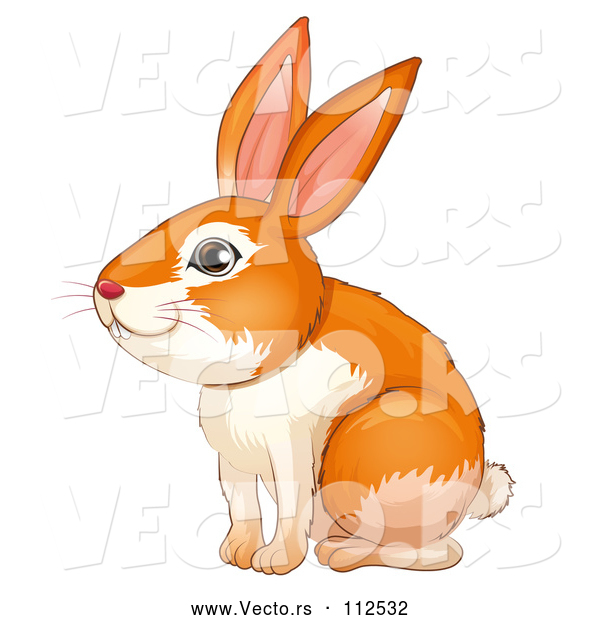 Vector of Ginger Bunny Rabbit Sitting