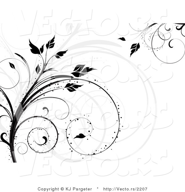 Vector of Gray and Black Silhouetted Vines with Curly Tendrils