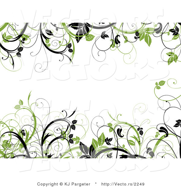 Vector of Green and Black Leafy Vines Border Frame with Blank White Copyspace Background