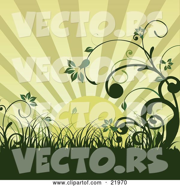 Vector of Green Morning Sunrise over an Organic Wildflower and Grass Landscape