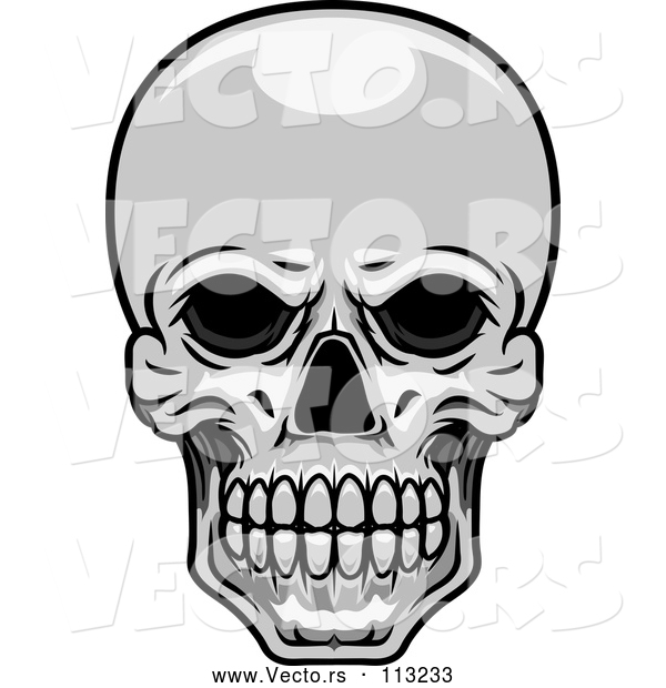 Vector of Human Skull - Grayscale Theme
