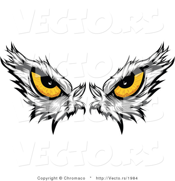 Vector of Intimidating Eyes of a Dominant American Bald Eagle
