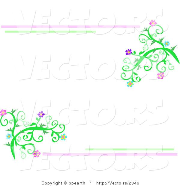 Vector of Pink and Green Lines Bordering Vines with Flowers