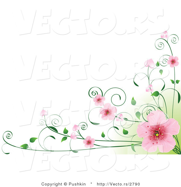 Vector of Pink Cherry Blossoms on Vines over Green and White Background Border Design