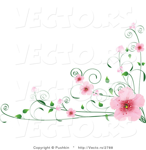 Vector of Pink Spring Blossoms on Vines - Digital Border Design