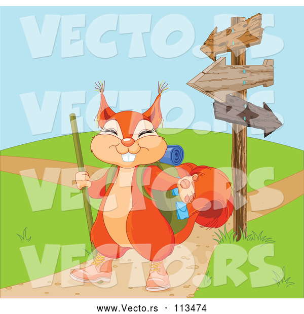 Vector of Presenting Squirrel in Hiking Gear by Arrow Signs and Paths