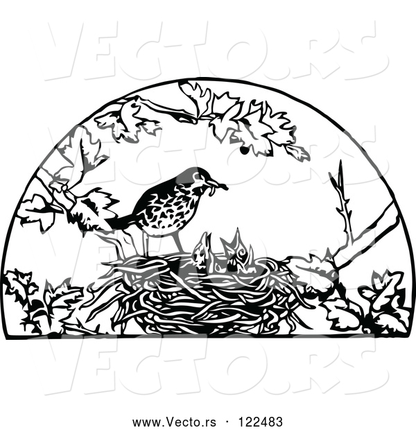 Vector of Retro Black and White Bird Feeding Its Chicks in a Nest
