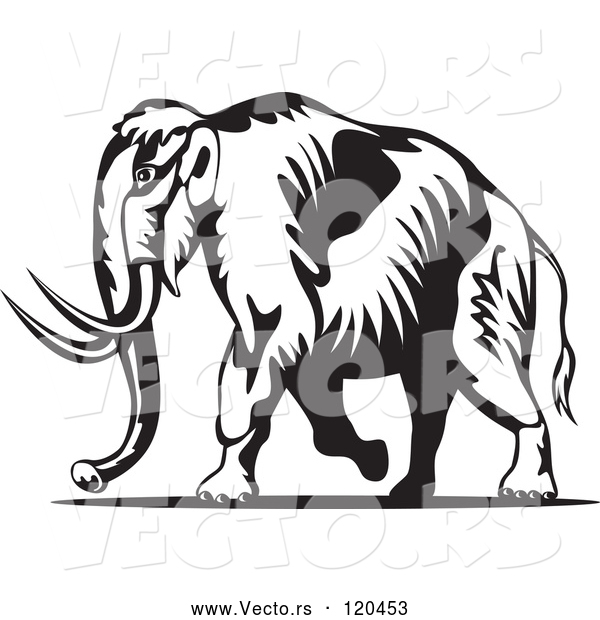 Vector of Retro Black and White Walking Wooly Mammoth