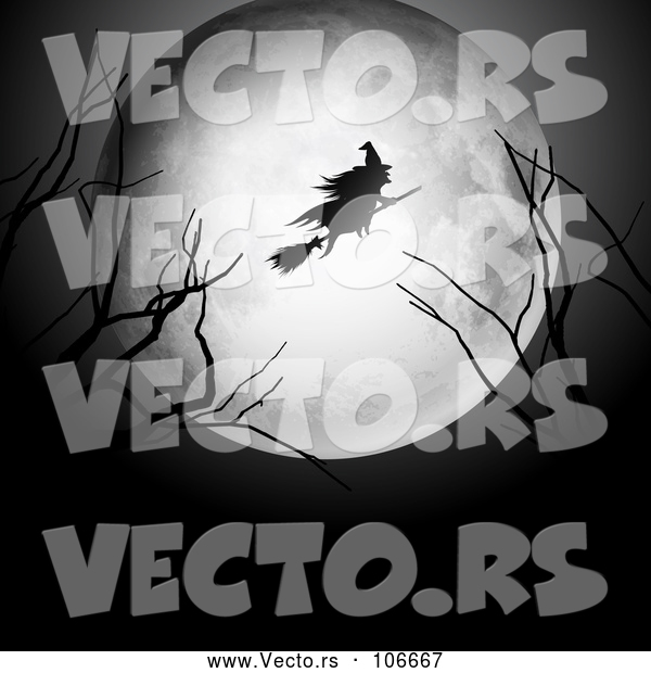 Vector of Silhouetted Witch Flying on a Broomstick over a Full Moon, with Bare Branches