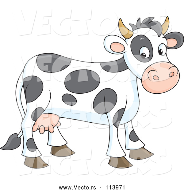Vector of Spotted Cow