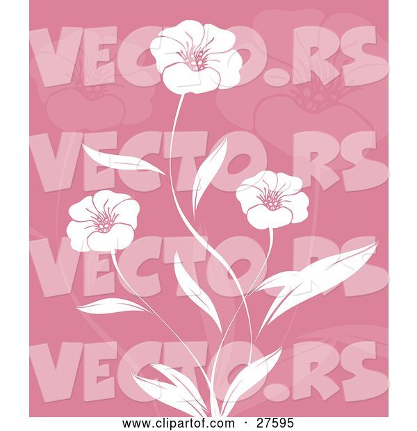 Vector of Three Beautiful White Flowers and Leaves over a Pink Background with Faded Flowers