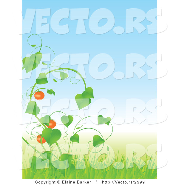 Vector of Tomatoes Growing on Green Vine with Tall Grass Against Blue Sky Background