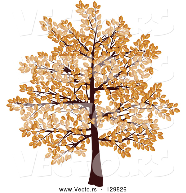Vector of Tree with Branches Covered in Brown Autumn Leaves, over a White Background