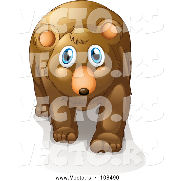 Vector of Young Brown Bear with Blue Eyes