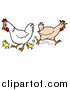 Cartoon Vector of a Rooster, Chicken, and Chicks Running Around by LaffToon