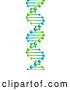 Vector of 3d Lime Green and Blue Dna Double Helix Cloning Strand by Vector Tradition SM