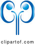 Vector of a Blue Kidney Design by Lal Perera