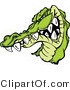 Vector of a Combative Cartoon Alligator Mascot Grinning Staring with Intimidating Eyes by Chromaco