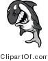 Vector of a Competitive Cartoon Killer Whale Orca Mascot Grinning While Staring with Intimidating Eyes by Chromaco
