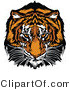 Vector of a Dominant Adult Tiger Mascot Staring with Intimidating Eyes by Chromaco