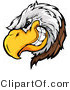 Vector of a Dominant Bald Eagle Mascot Grinning with Intimidating Evil Eyes by Chromaco