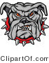 Vector of a Dominant Bulldog Mascot Growling with Intimidating Red Eyes and Spike Collar by Chromaco